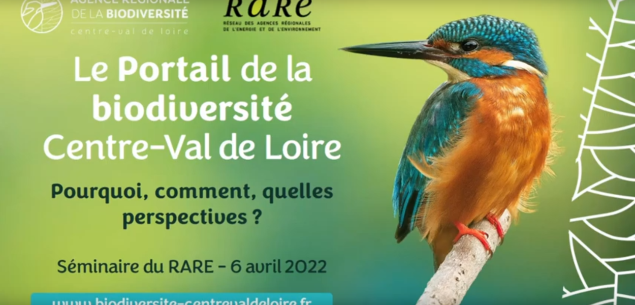 Atelier : Le Portail, démonstration et présentation - replay du 6/04/2022