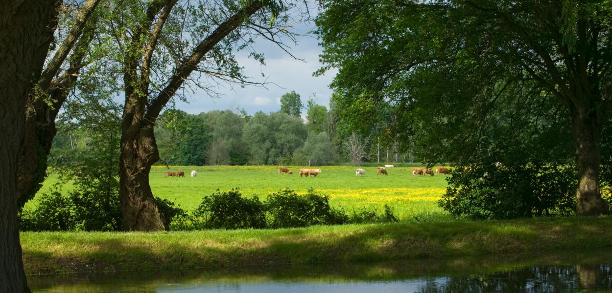 Biodiversité et agriculture