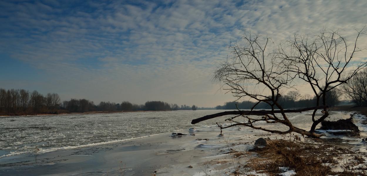 Les rendez-vous nature de l'hiver