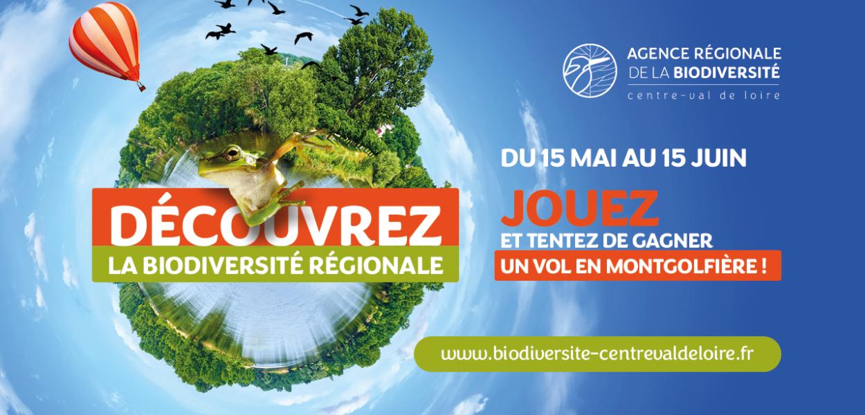 Participez au "Cherche et trouve" grandeur nature