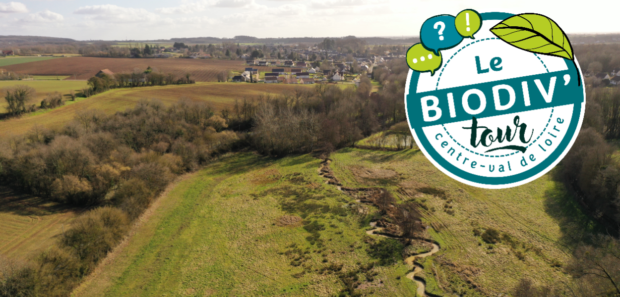 Biodiv'Tour : visite autour de la restauration et la renaturation d'une rivière et de zones humides à Saint-Martin d'Auxigny (18)