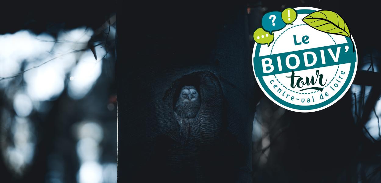 Éclairage et biodiversité à Bourges