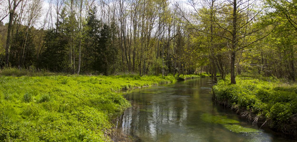 Indicateur | Continuité écologique des milieux aquatiques