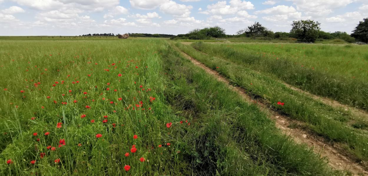 Indicateur | Suivi de l'agriculture biologique