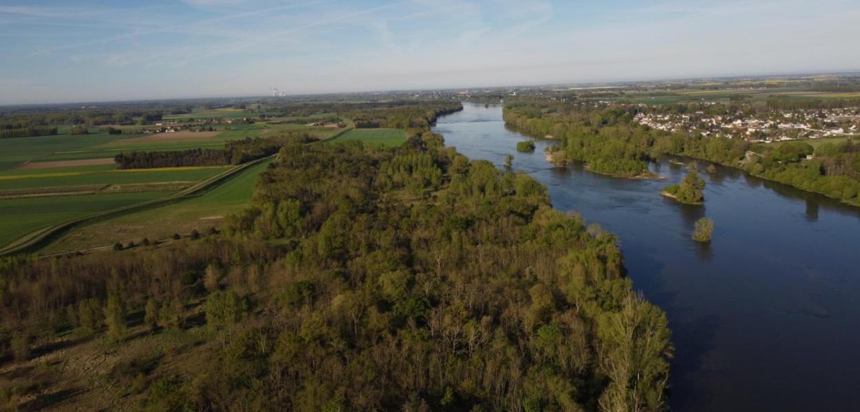 Les forêts alluviales