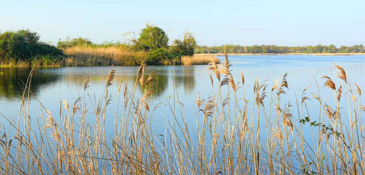 Indicateur | Suivi des aires protégées