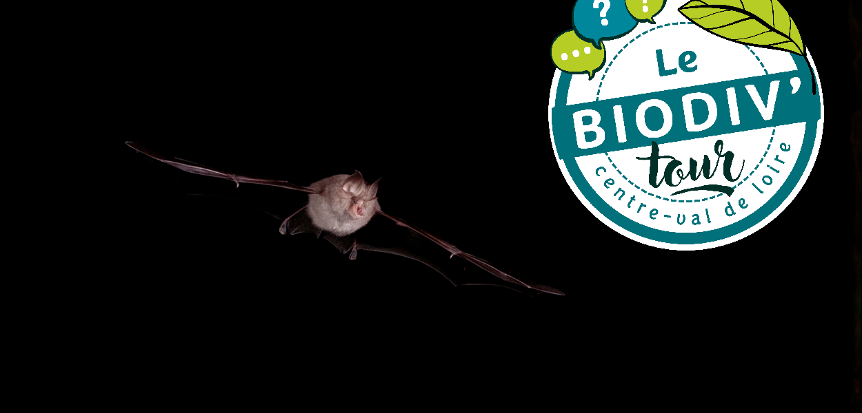 Éclairage et biodiversité à Valaire