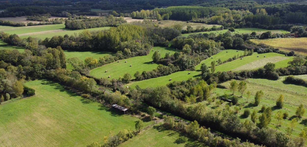 Indicateur | Évolution du linéaire de haies