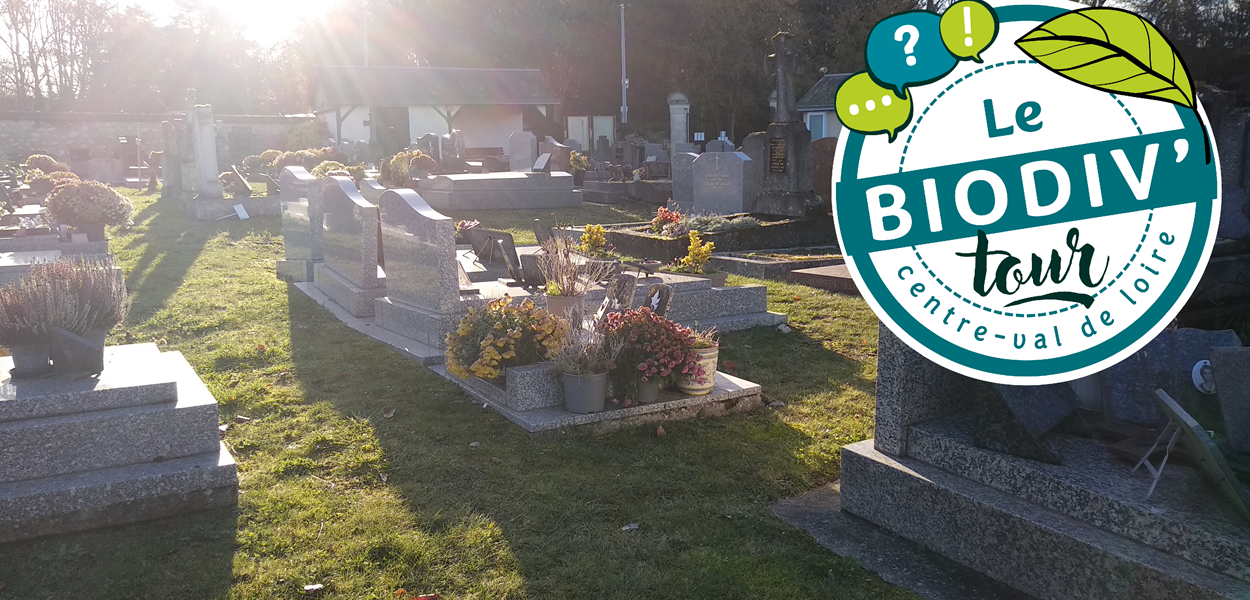 Gestion écologique des cimetières à Saint-Jean-de-Braye