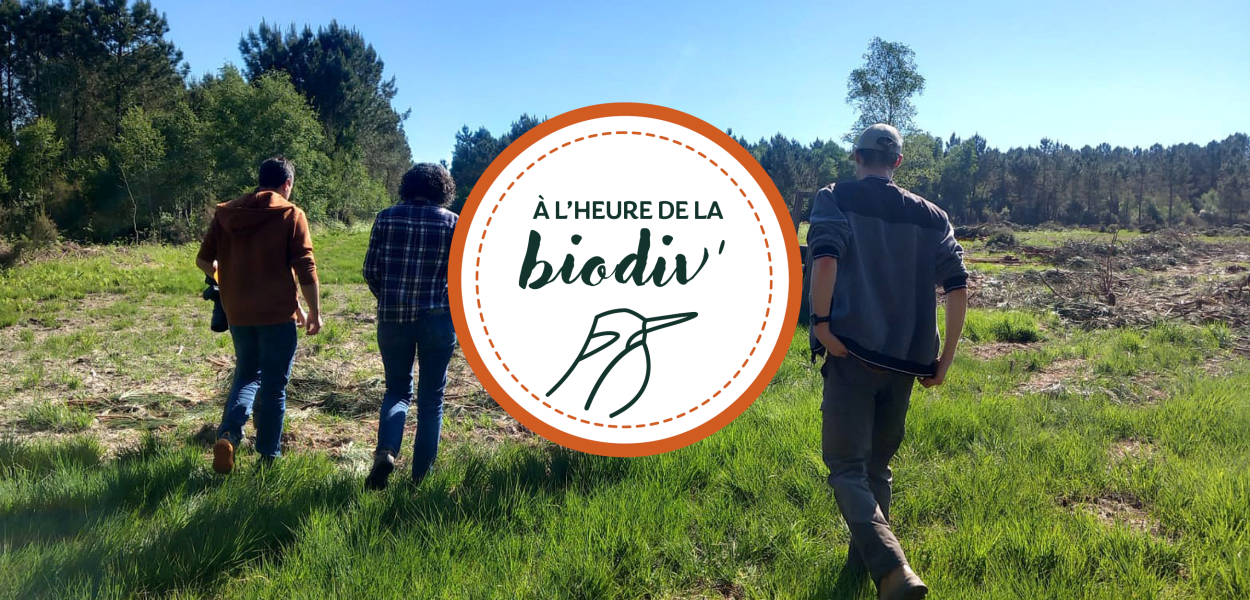 À l'heure de la biodiv' - Webinaires "Atlas et inventaires de biodiversité"