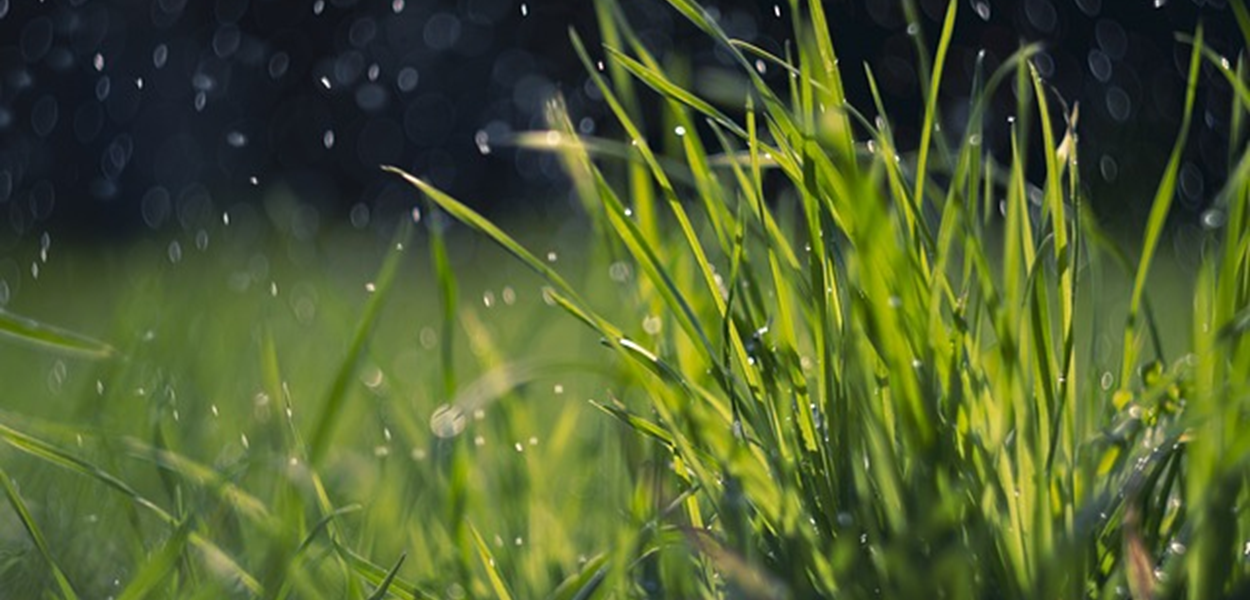 À l'heure de la biodiv' - Webinaires "Parcours de l'eau"