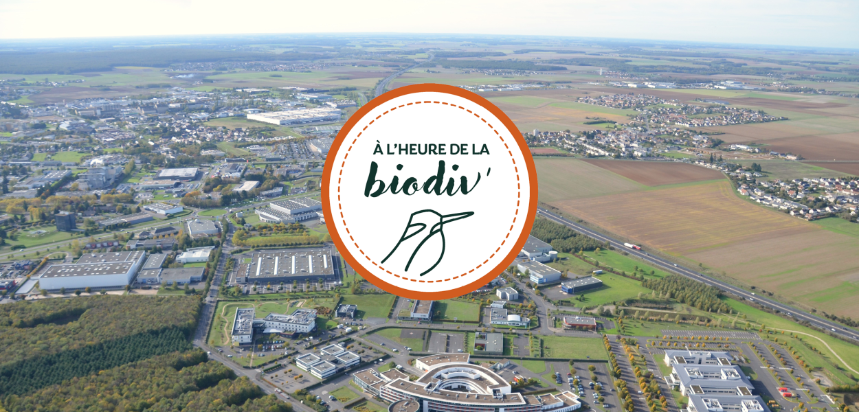 À l'heure de la biodiv' - Webinaires "Mobiliser les entreprises"