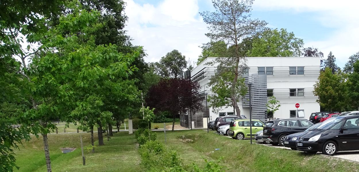 Entreprises et biodiversité