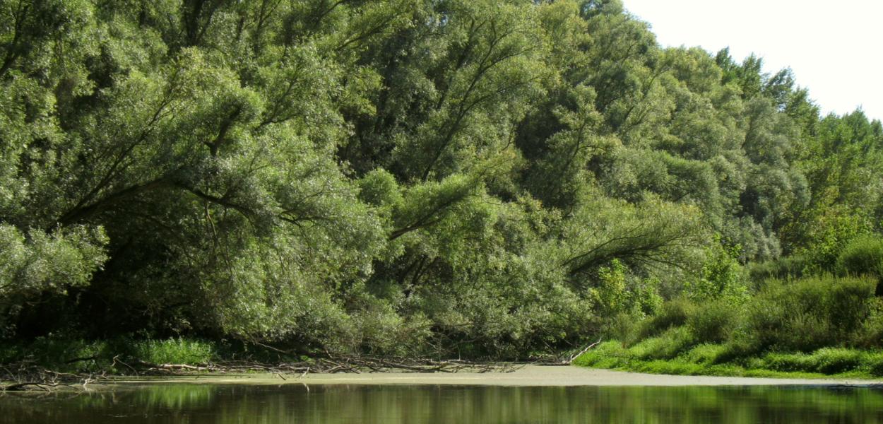 Chapitre Présentation de l'ouvrage, de la région et bilan des listes rouges