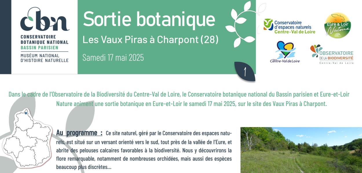 Sortie botanique à Charpont (28)