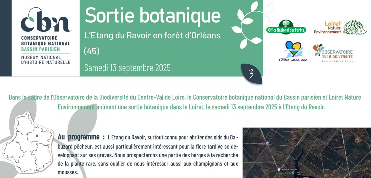 Sortie botanique à l'Etang du Ravoir en forêt d’Orléans (45)