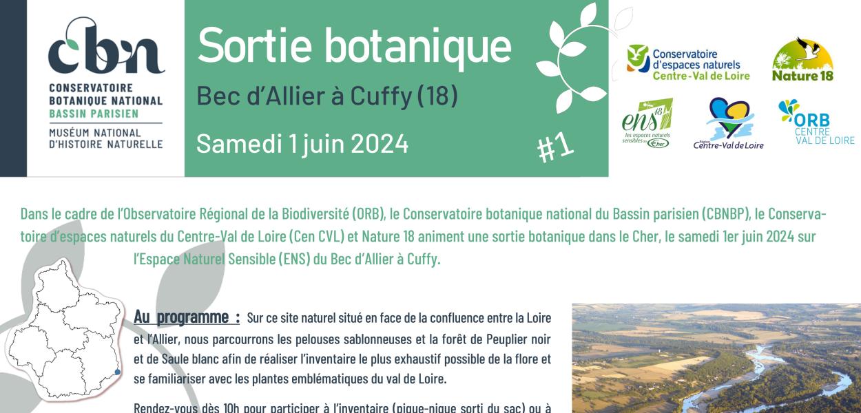 Compte-rendu de sortie botanique au Bec d'Allier (18)