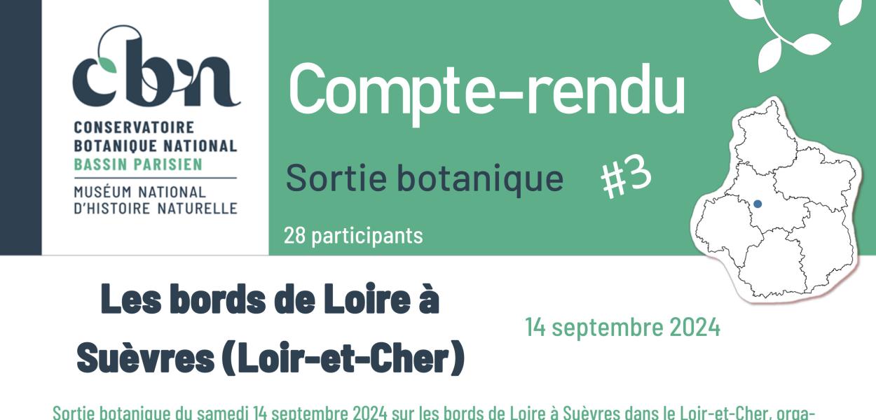 Compte-rendu de sortie botanique sur les bords de Loire à Suèvres (41)