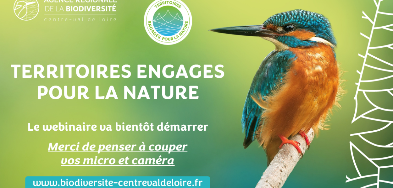 support webinaire de présentation TEN - édition 2026