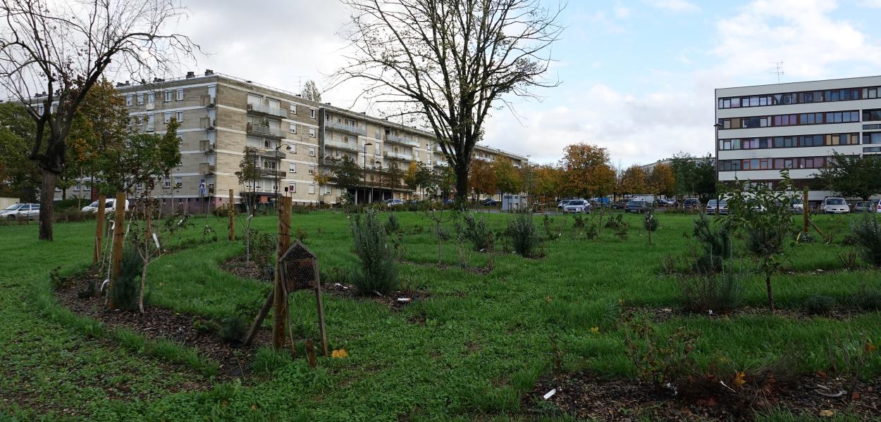 "Jardins citoyens : reconnecter les citoyens à la nature en zone urbanisée"