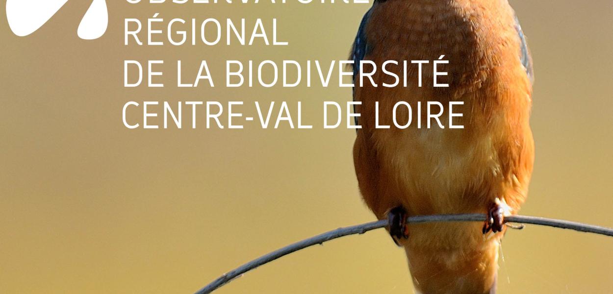 État des lieux régional de la biodiversité 2017