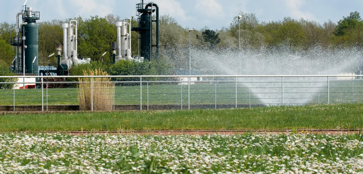 Une biodiversité surprenante sur les sites industriels de Storengy