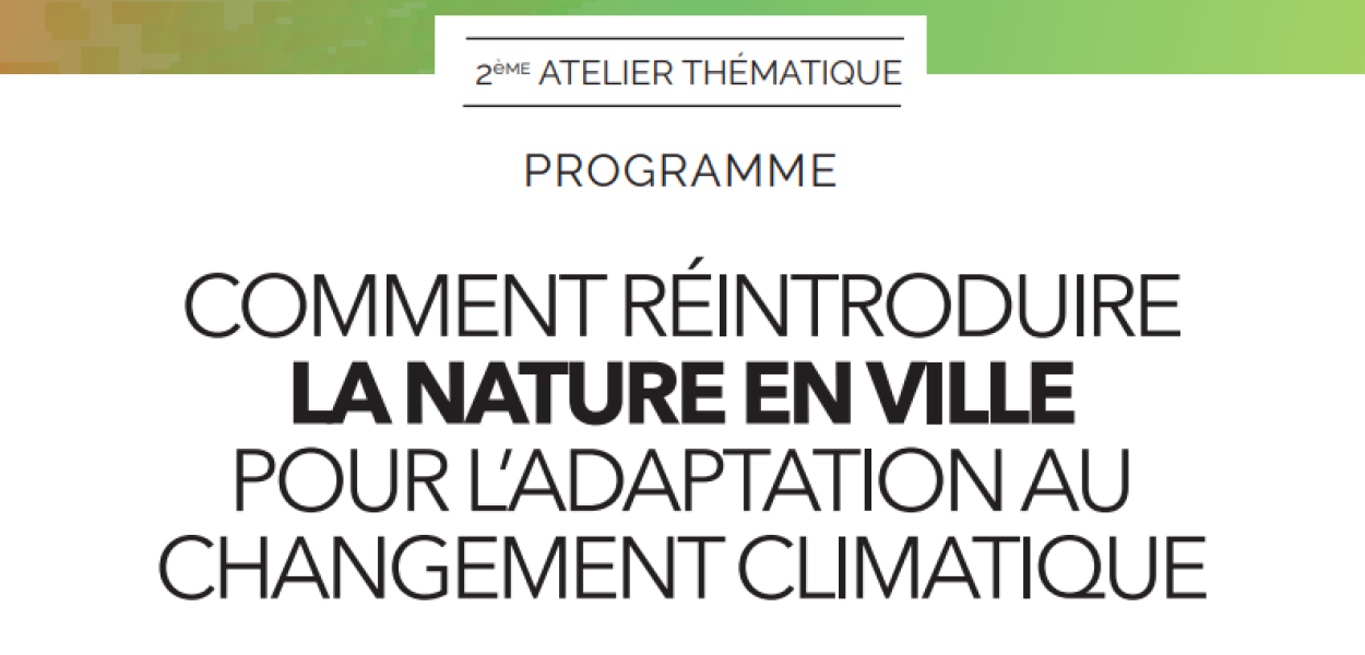 Programme webinaire "comment réintroduire la nature en ville pour l'adaptation au changement climatique"