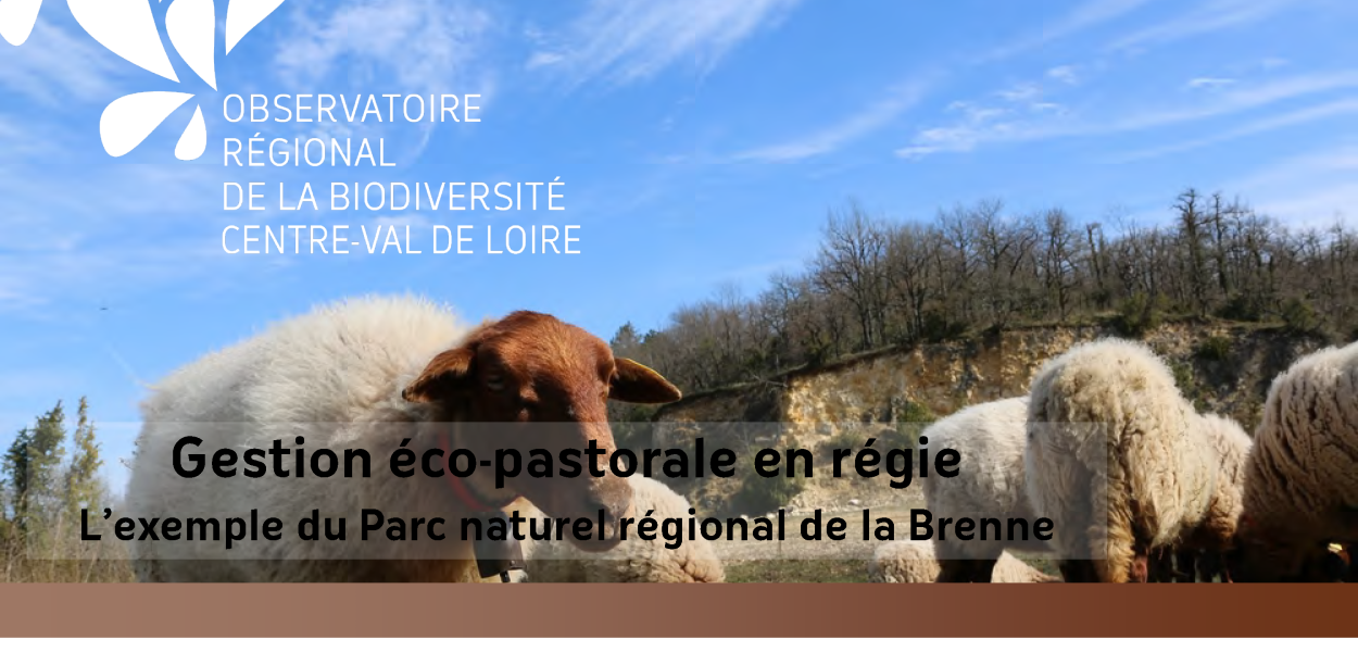 Présentation de la gestion éco-pastorale au PNR Brenne