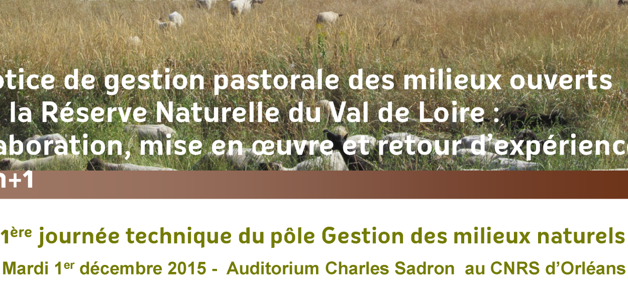 Présentation la RNN Val de Loire sur la gestion pastorale