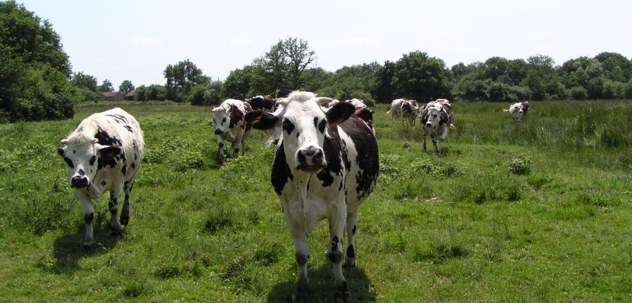 Découvrir les espaces gérés en faveur de la biodiversité en Centre-Val de Loire