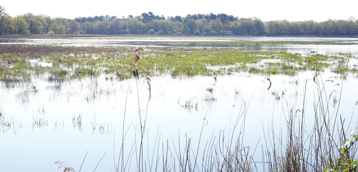 Chiffres-clés de la biodiversité en France et en Centre-Val de Loire