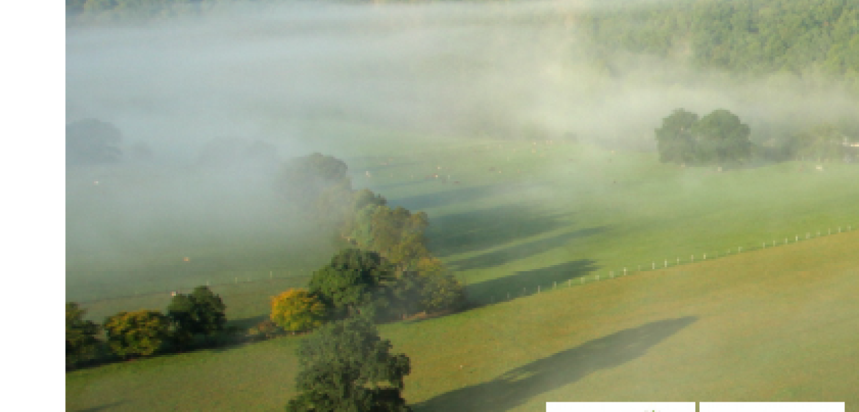 Suivi de projets de Solutions d’adaptation fondées sur la Nature (SfN) : Référentiel d’indicateurs