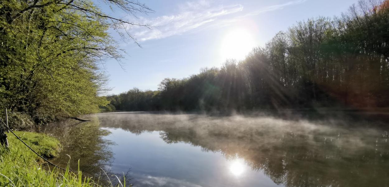 Chiffres-clés de la biodiversité en Centre-Val de Loire