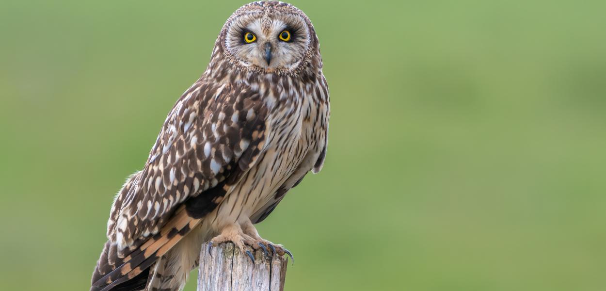 CP - L'Observatoire régional de la biodiversité fête ses 10 ans !