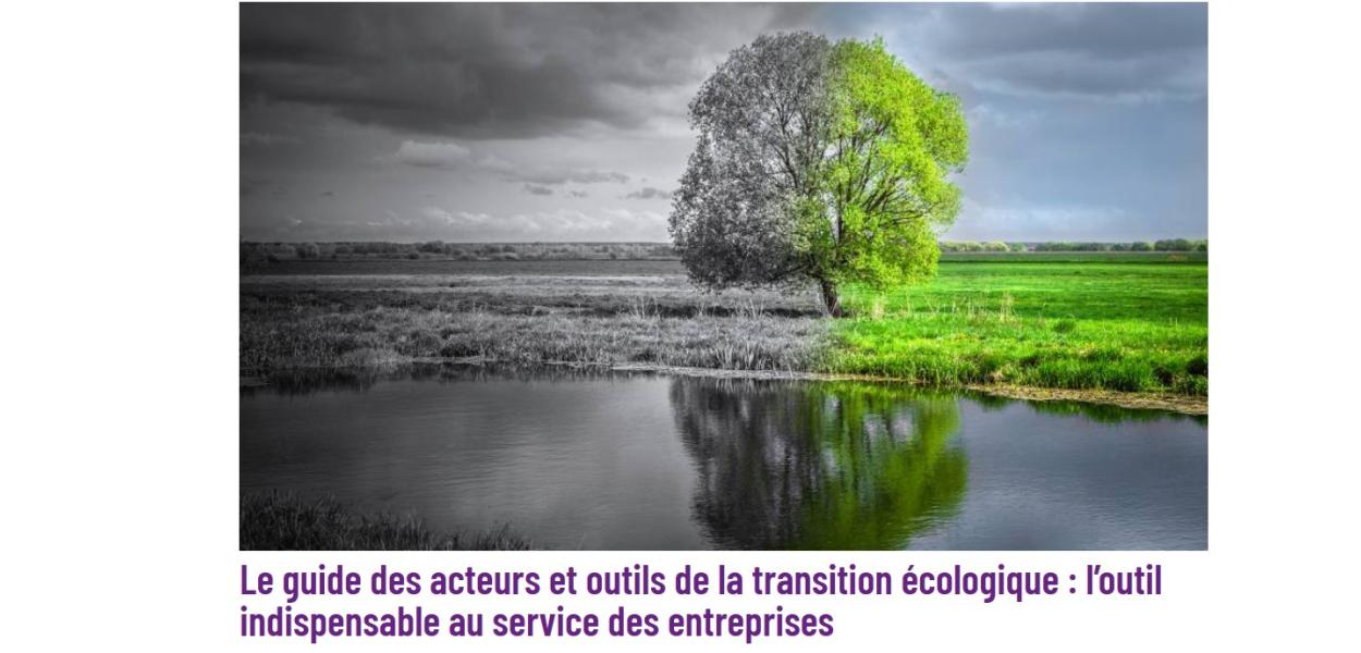 Guide des acteurs et outils de la transition écologique | MEDEF