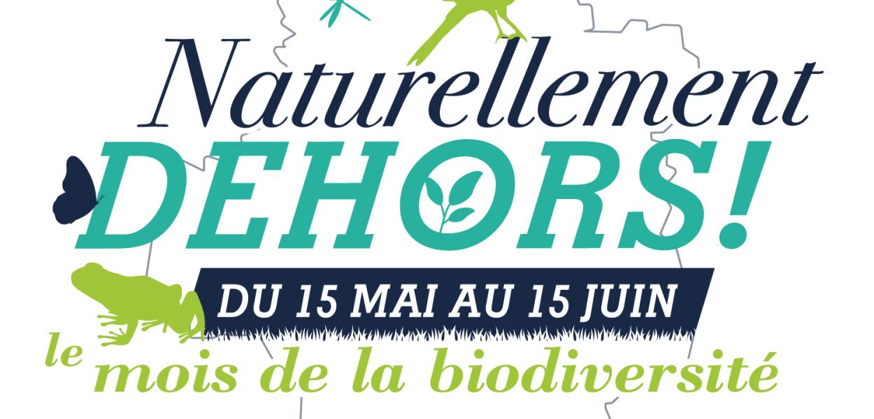 CP 2025 - Le mois de la biodiversité "Naturellement dehors !"