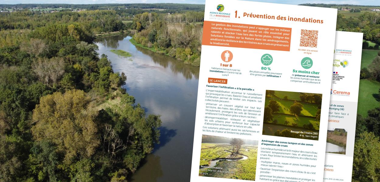Fiche action - Collectivités & biodiversité - 1. Prévention des inondations