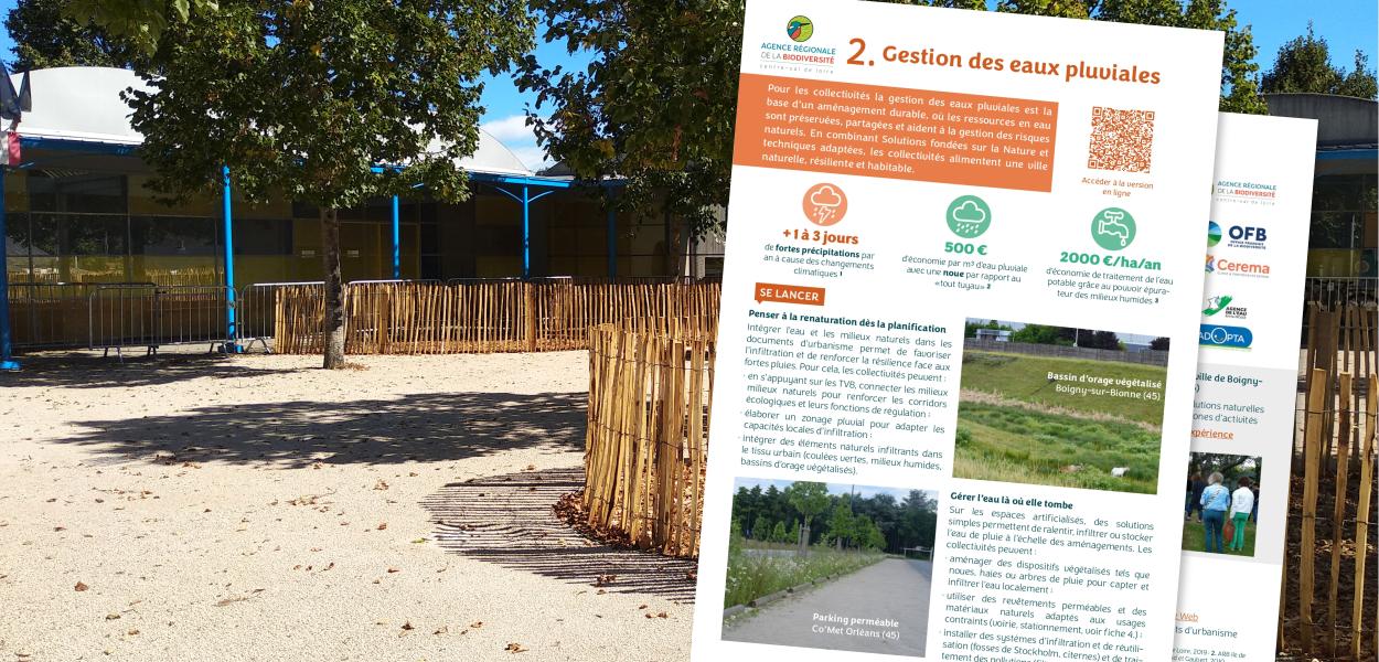 Fiche action - Collectivités & biodiversité - 2. Gestion des eaux pluviales