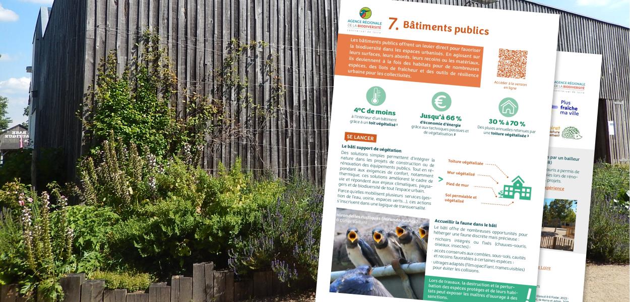 Fiche action - Collectivités & biodiversité - 7. Bâtiments publics