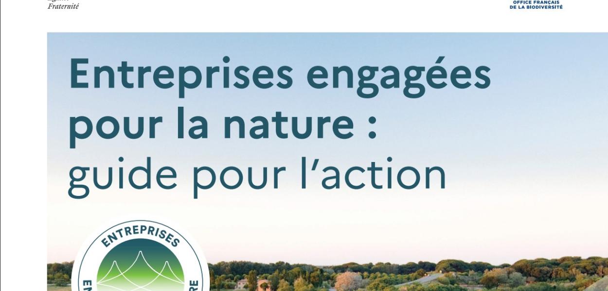 Entreprises engagées pour la nature : guide pour l’action | OFB