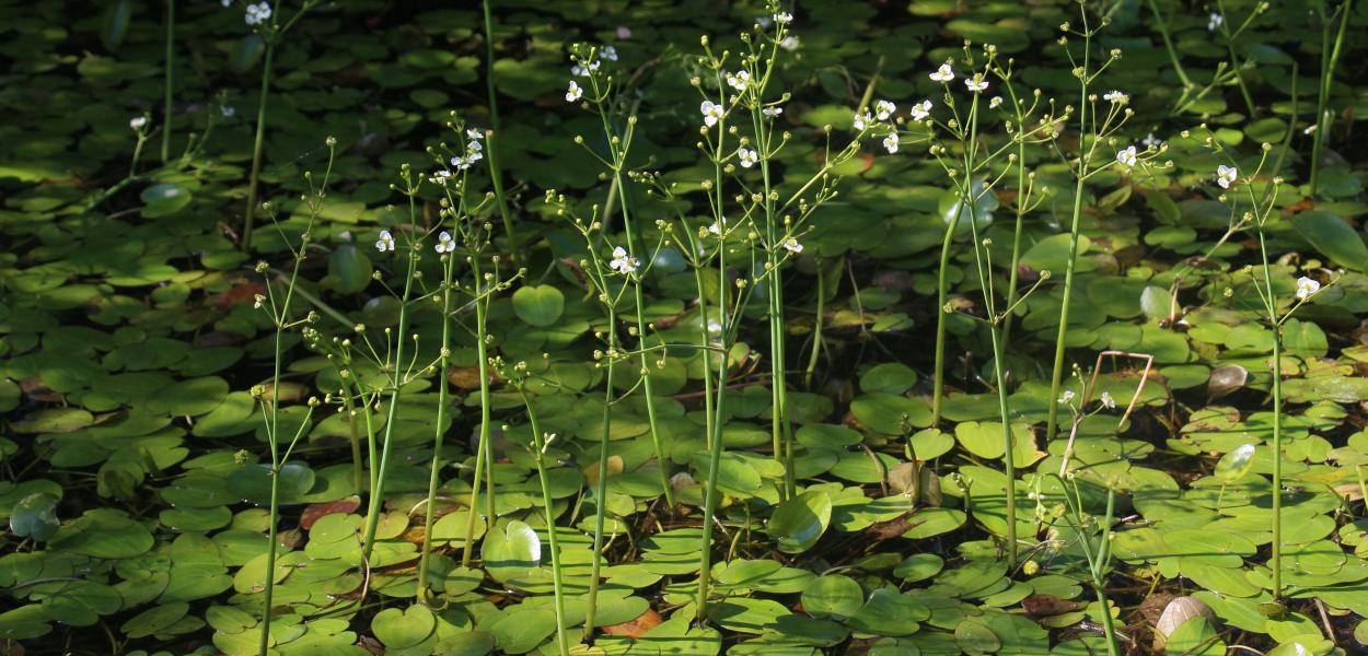 Rapport d'activité 2025