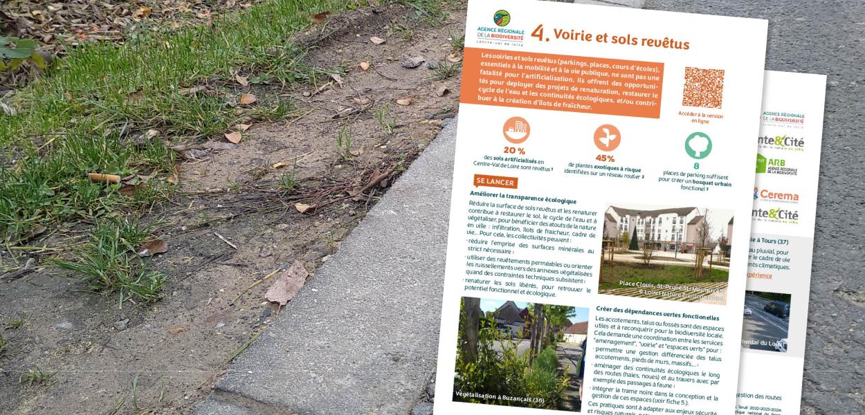 Fiche action - Collectivités & biodiversité - 4. Voirie et sols revêtus