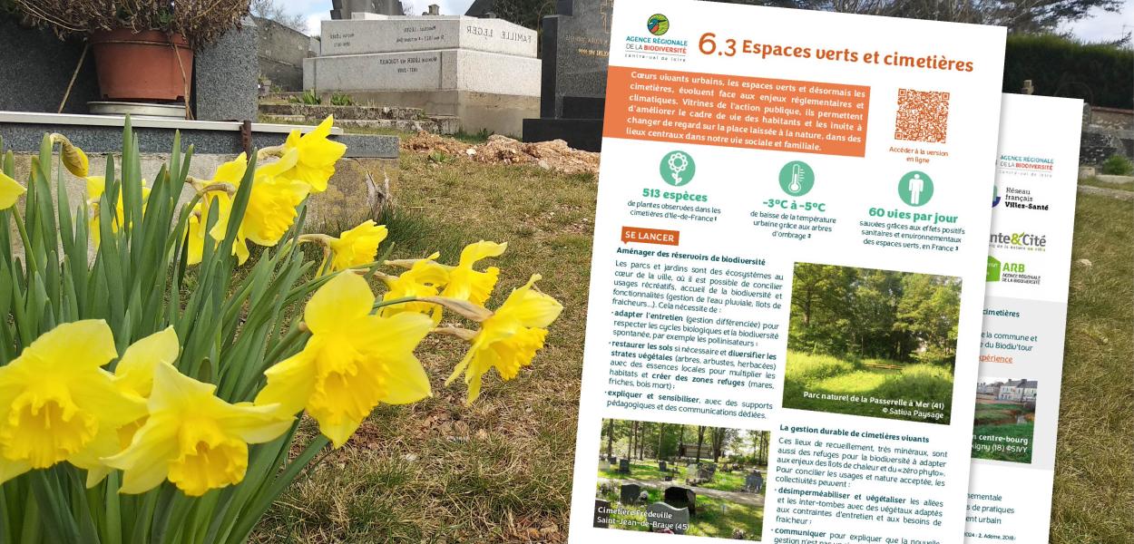 Fiche action - Collectivités & biodiversité - 6.3 Parcs, jardins et cimetières