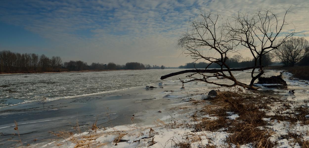 L'Observatoire à l'horizon 2026