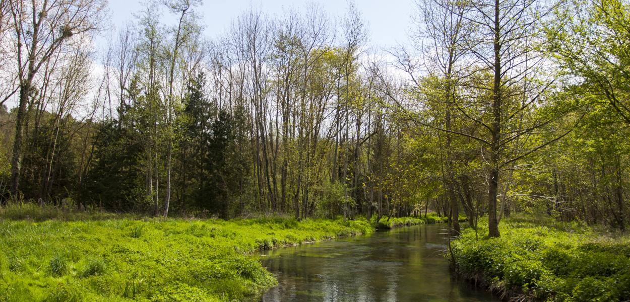 Récap' d'indicateur : continuité écologique des milieux aquatiques