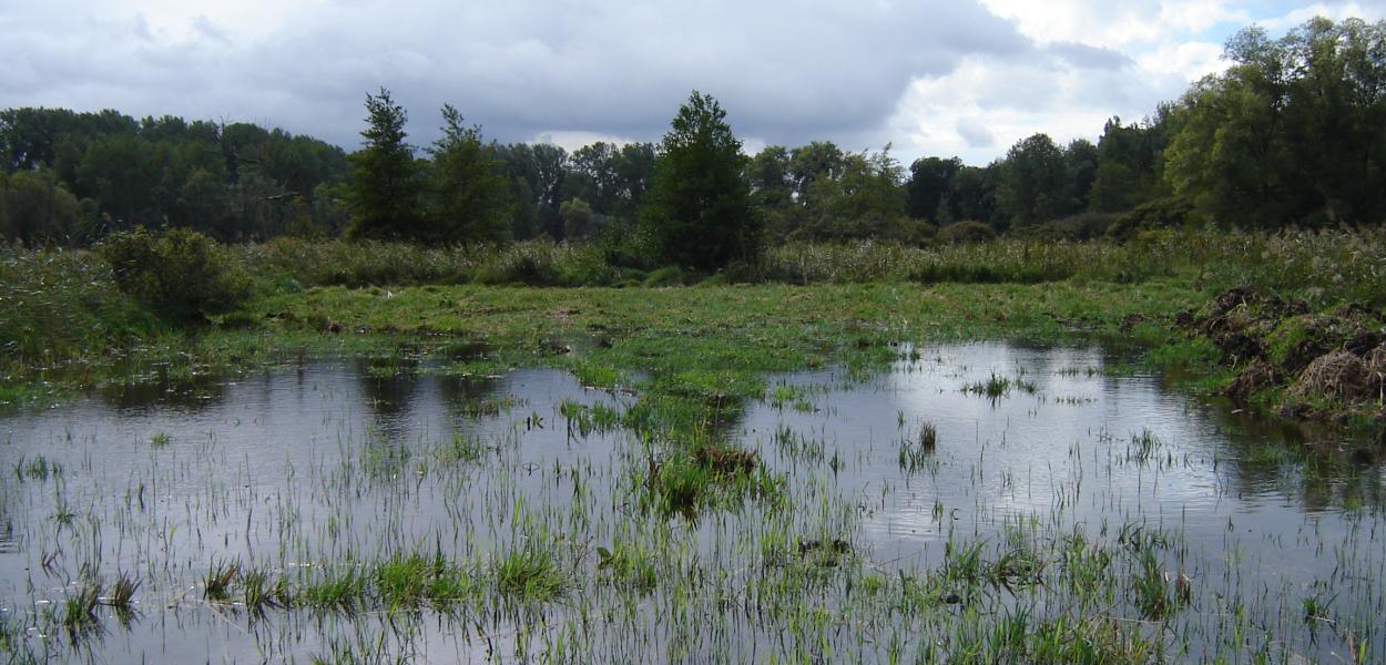 Récap' d'indicateur : gestion des milieux aquatiques et humides