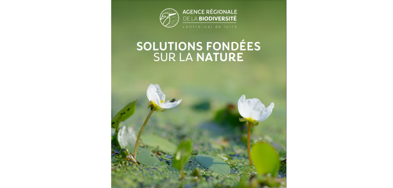 Solutions fondées sur la nature