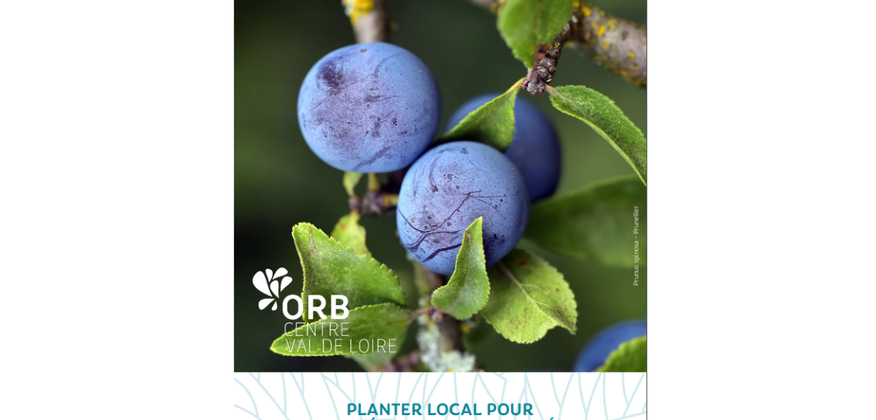Fascicule "Plantons local en Centre-Val de Loire"