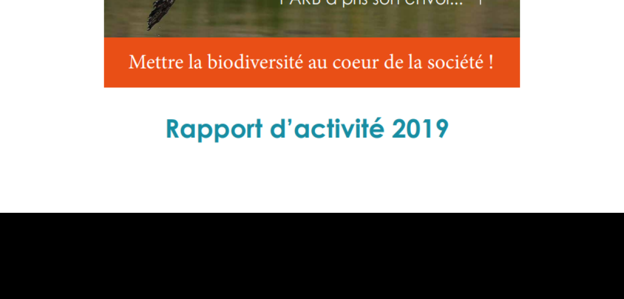 Rapport d'activité 2019