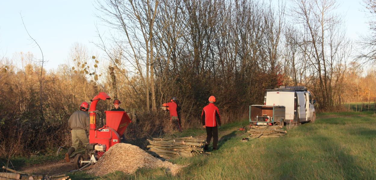 La commune de Huismes restaure ses prairies humides avec le Parc naturel régional